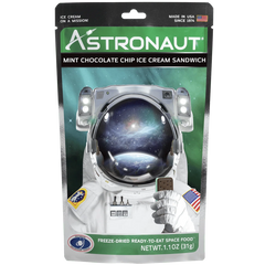 Freeze-Dried Mint Chocolate Chip Ice Cream Sandwich