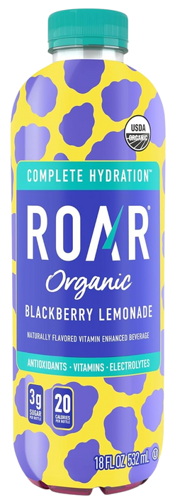 Blackberry Lemonade Drink