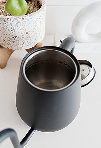 Stainless Steel Gooseneck Stovetop Kettle, Black