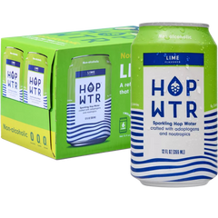 Lime Sparkling Water (6 Pack)