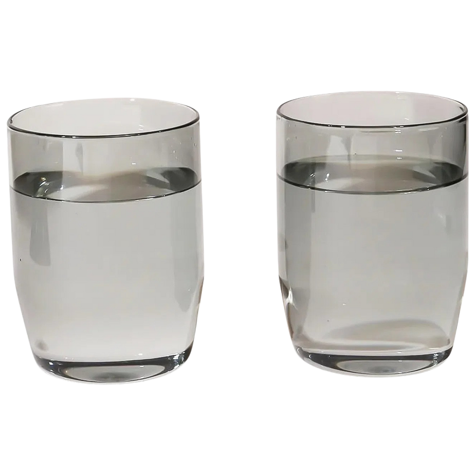 Century Glass Set Of Two (Gray)