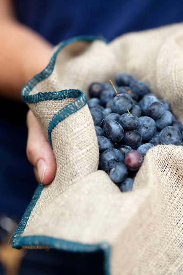 Plain ol  Blueberry Jam