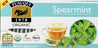 Spearmint Tea