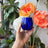 Century Glass - Set Of Two (Cobalt)