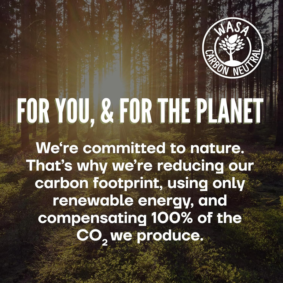 Original Gluten Free Swedish Crisp Bread