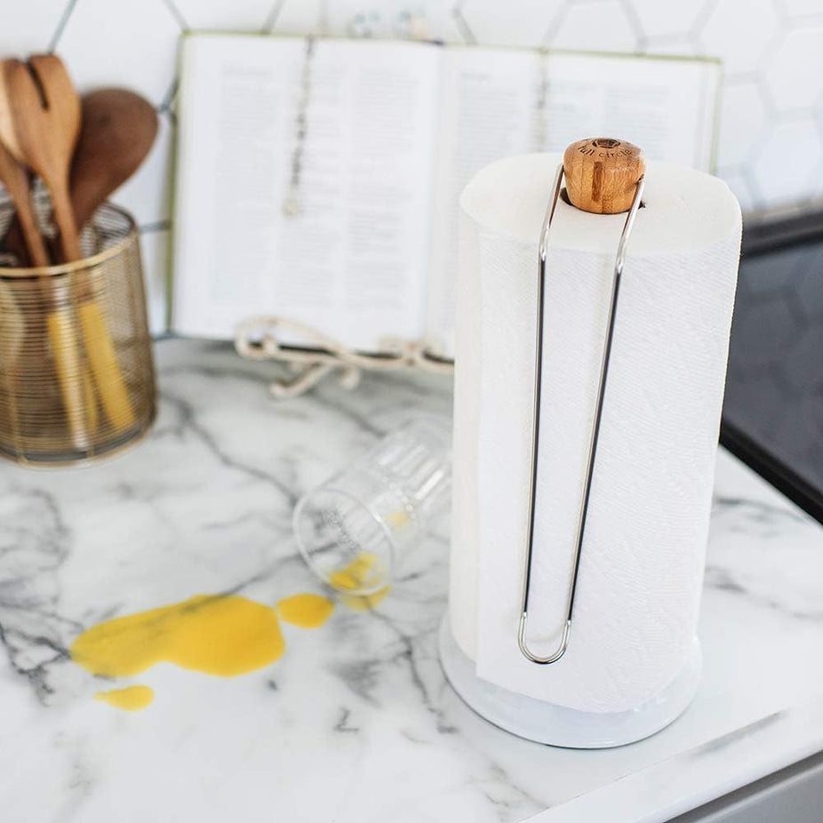 Roll Model - Paper Towel Holder