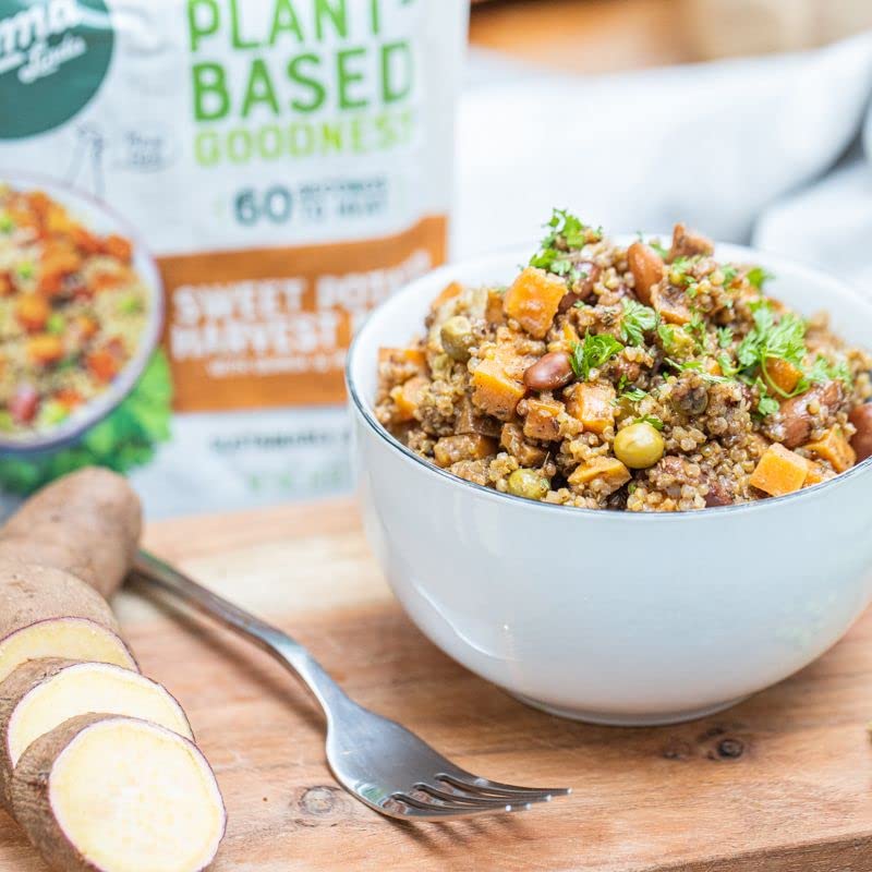 Sweet Potato Harvest Bowl (6 Pack)