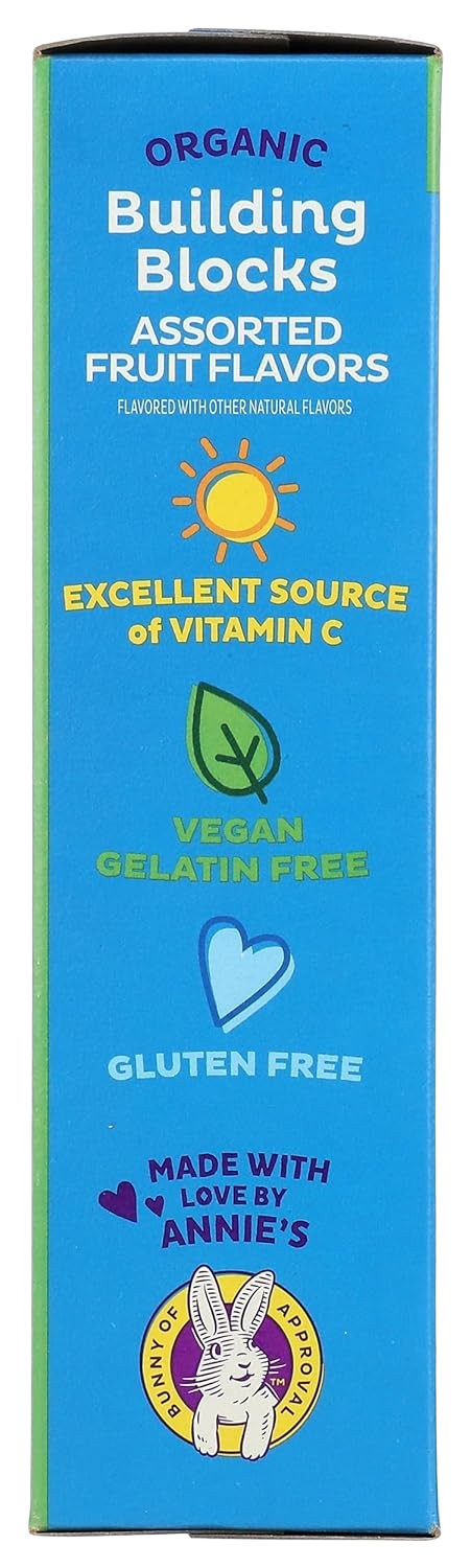 Organic Building Blocks Fruit Snacks (22 CT)