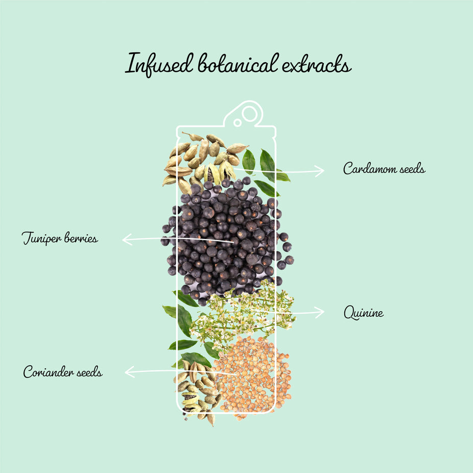 G & Tonic NA Mixer (4 Pack)