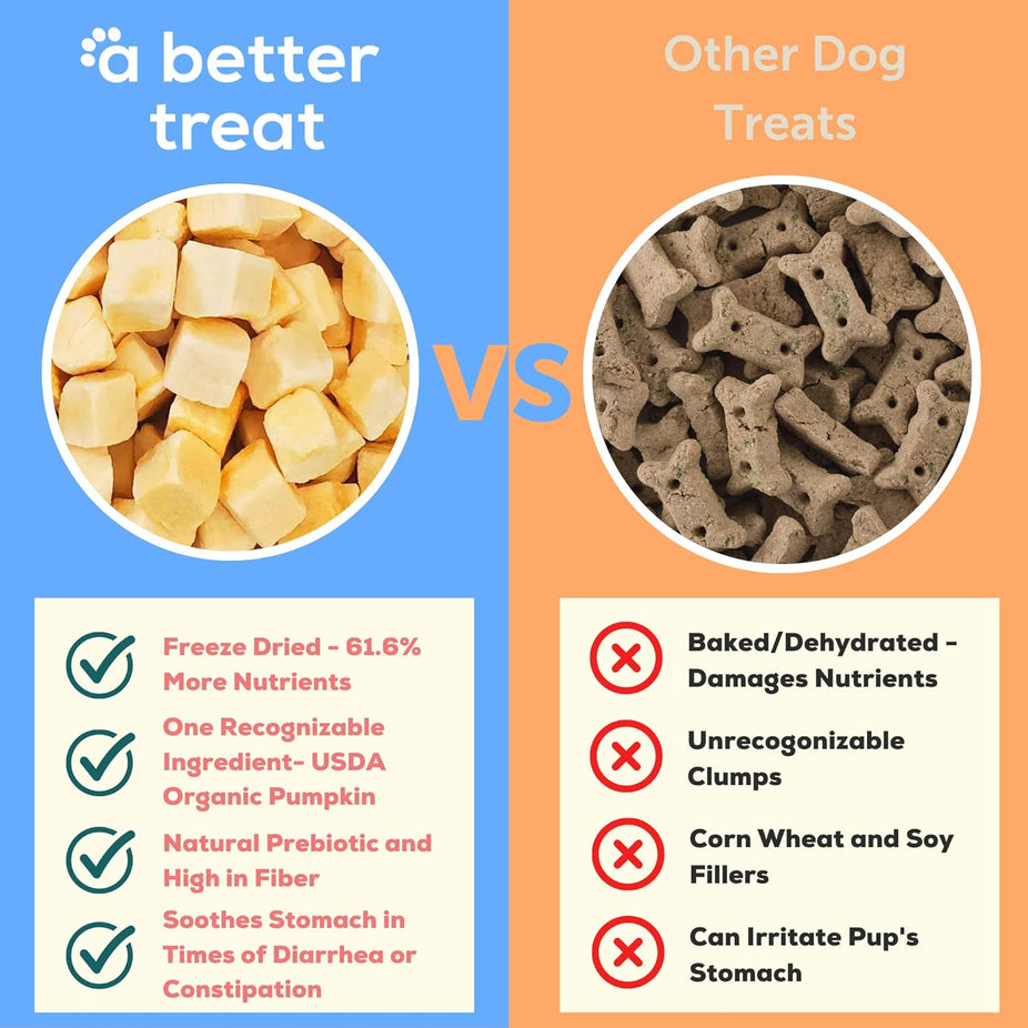 Pumpkin Dog and Cat Treats