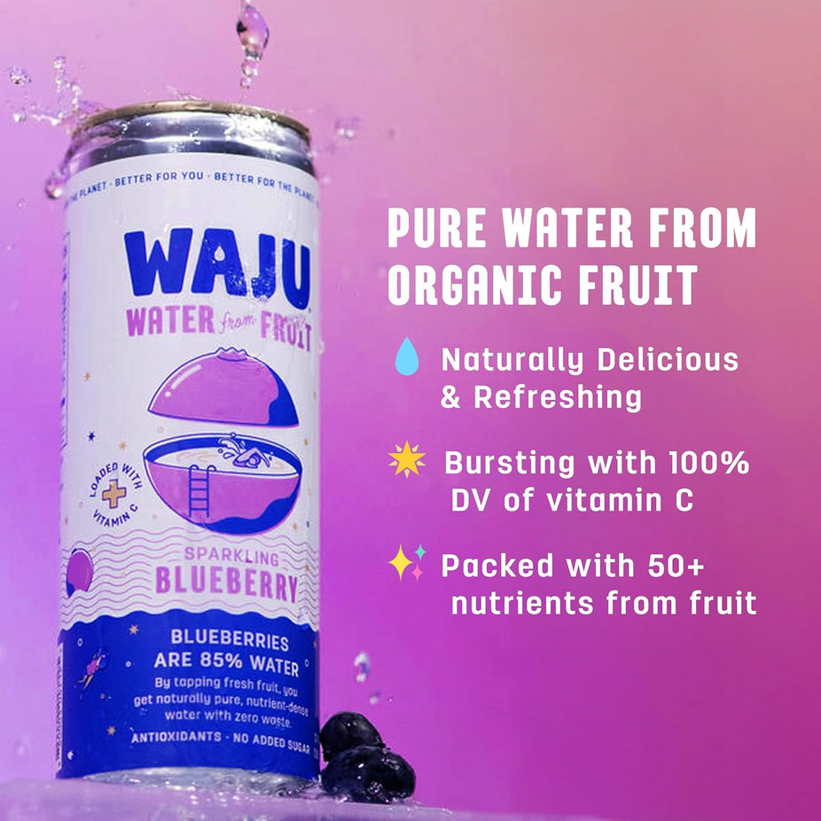 Blueberry Sparkling Fruit Water (12 Pack)