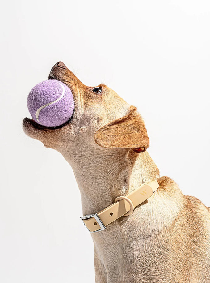 Tennis Balls Set of 4 - Small, Lilac