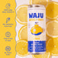 Lemon Sparkling Water (12 Pack)