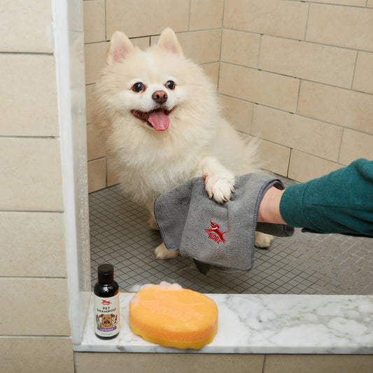 Dog Bath Kit - Microfiber Towel, Bath Sponge and Shampoo