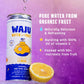 Lemon Sparkling Water (12 Pack)