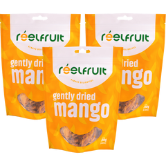 Dried Mango (3CT)