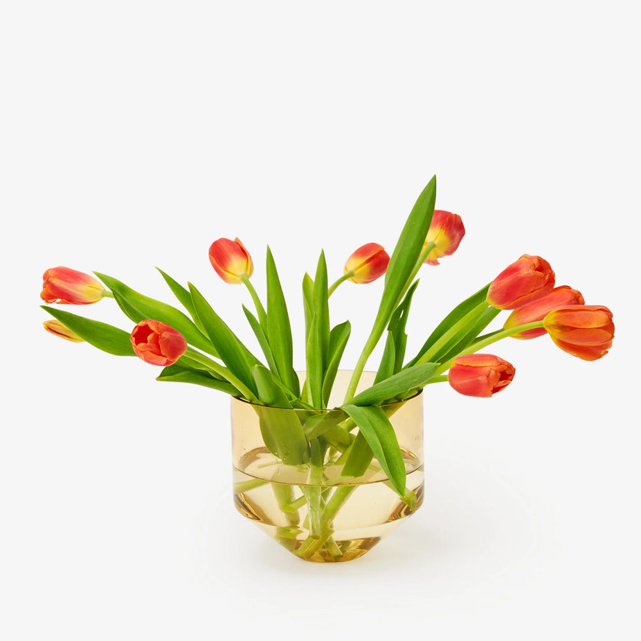 Model Three Planter - Amber