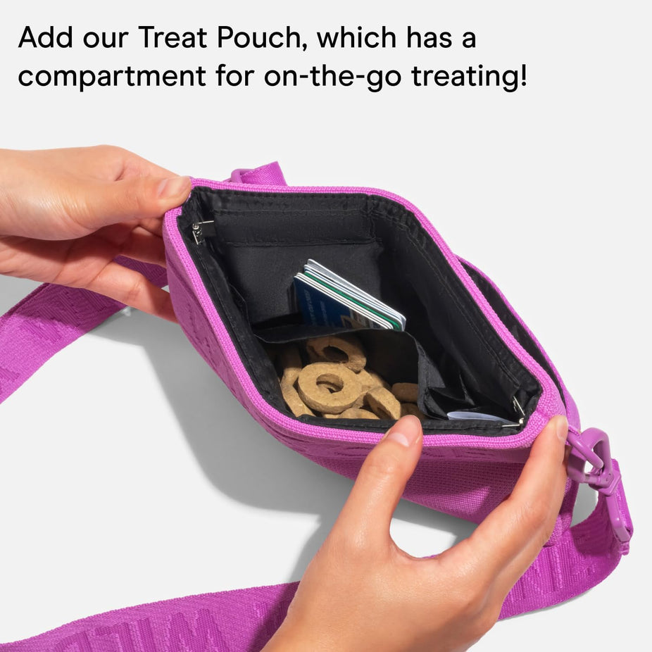Baked Dog Treats One Size - Fruit Salad