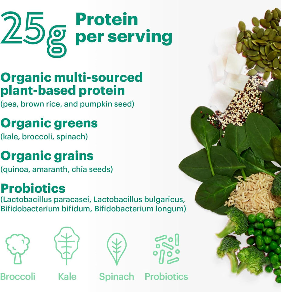 Fudge Brownie Vegan Protein Powder