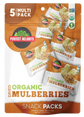 Mulberries Snack Packs (5 CT)