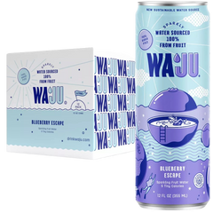 Blueberry Sparkling Fruit Water (12 Pack)