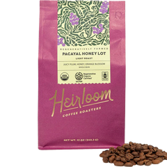 Pacayal Honey Lot Light Roast Whole Bean Coffee