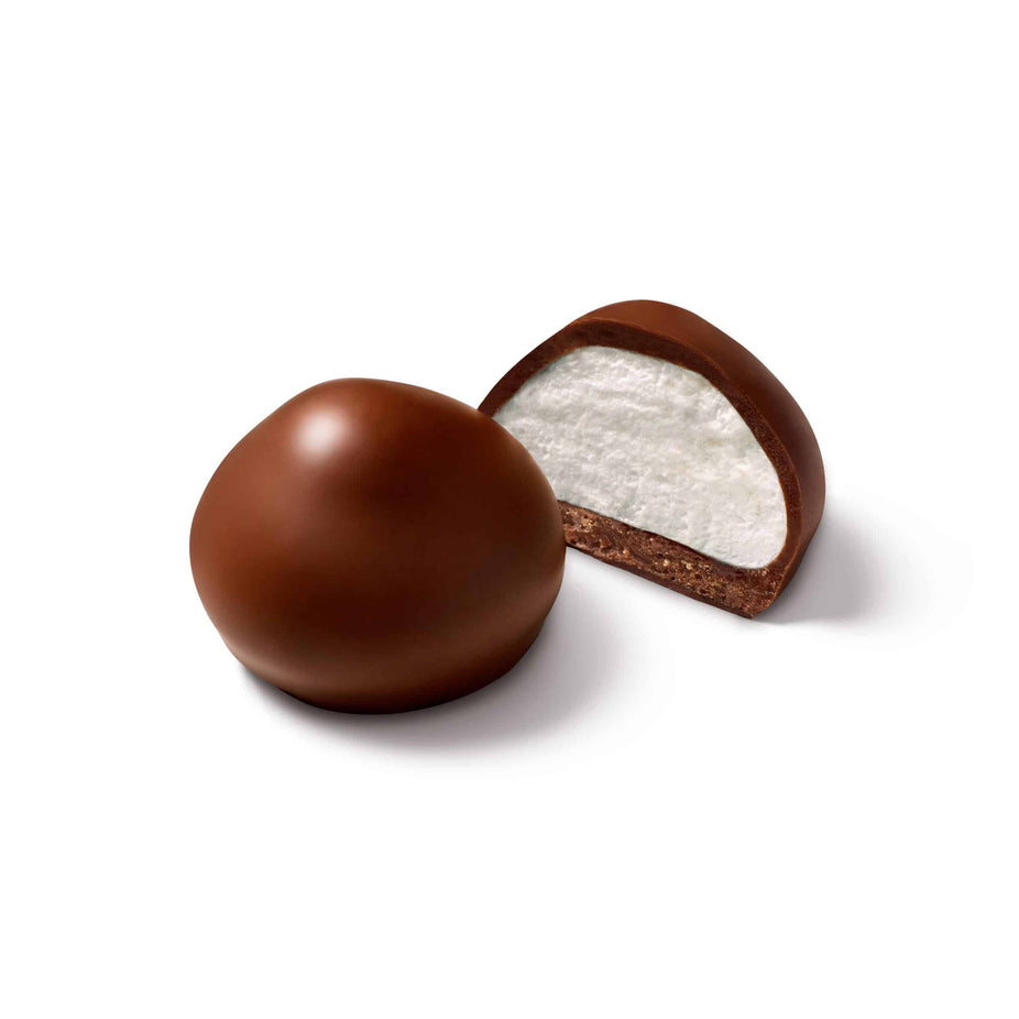 Belgian Chocolate Covered 