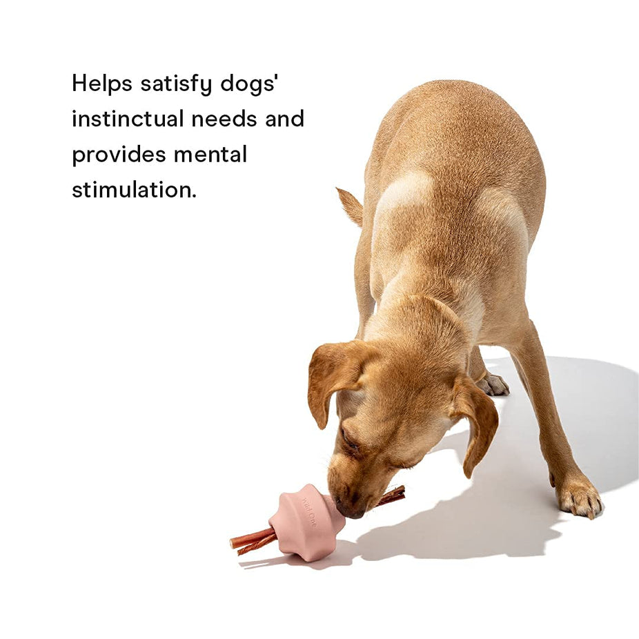 Twist Toss Interactive Dog Toy - Pink