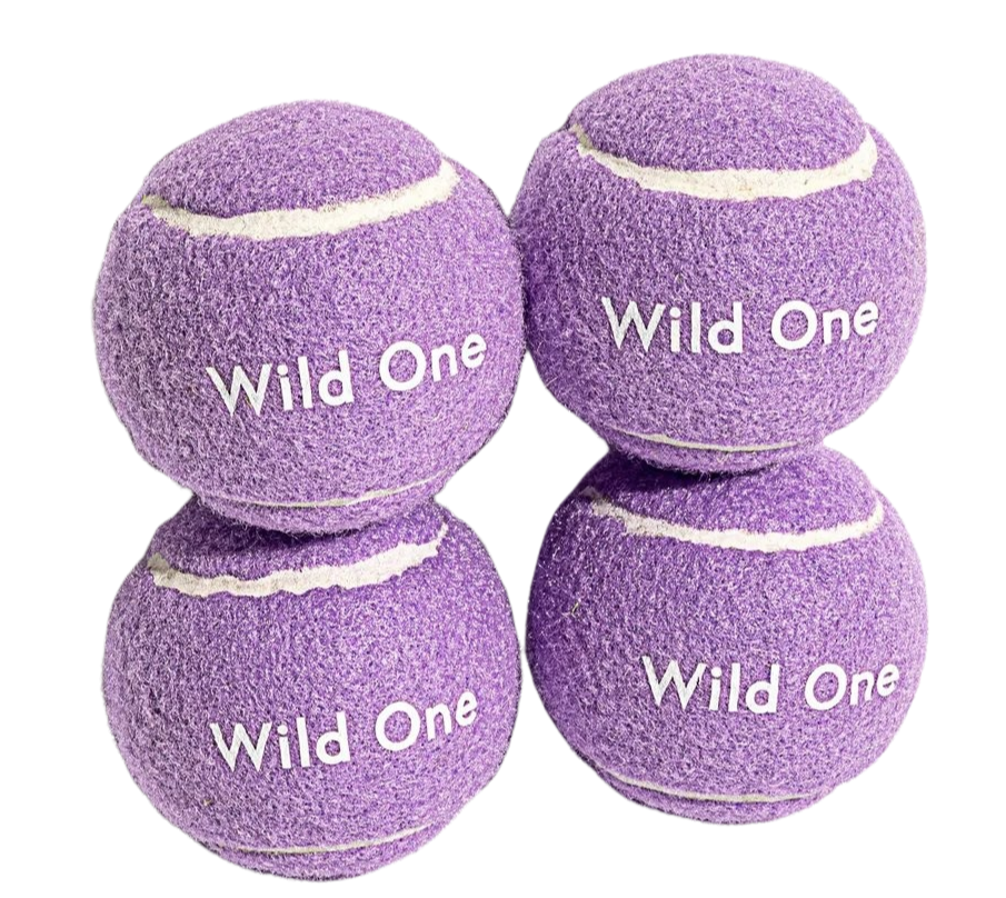 Tennis Balls Set of 4 - Small, Lilac