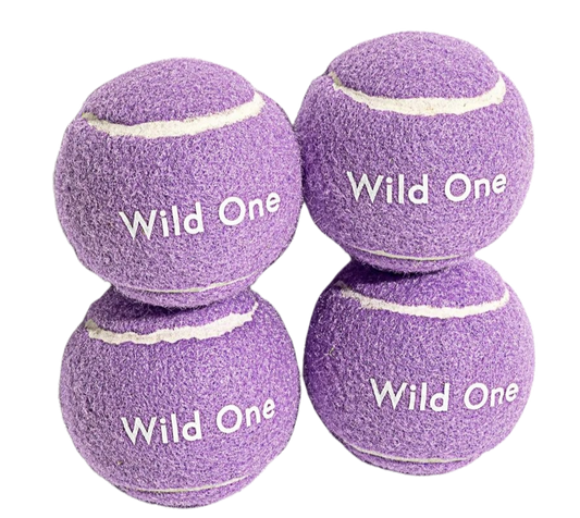Wild One 4 Tennis Balls - White