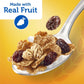 Raisin Bran Crunch (4 CT)