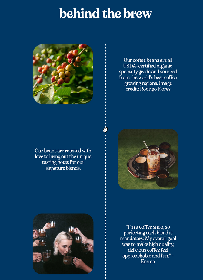 Original Family Blend Steeped Single Serve Bags (10 CT)