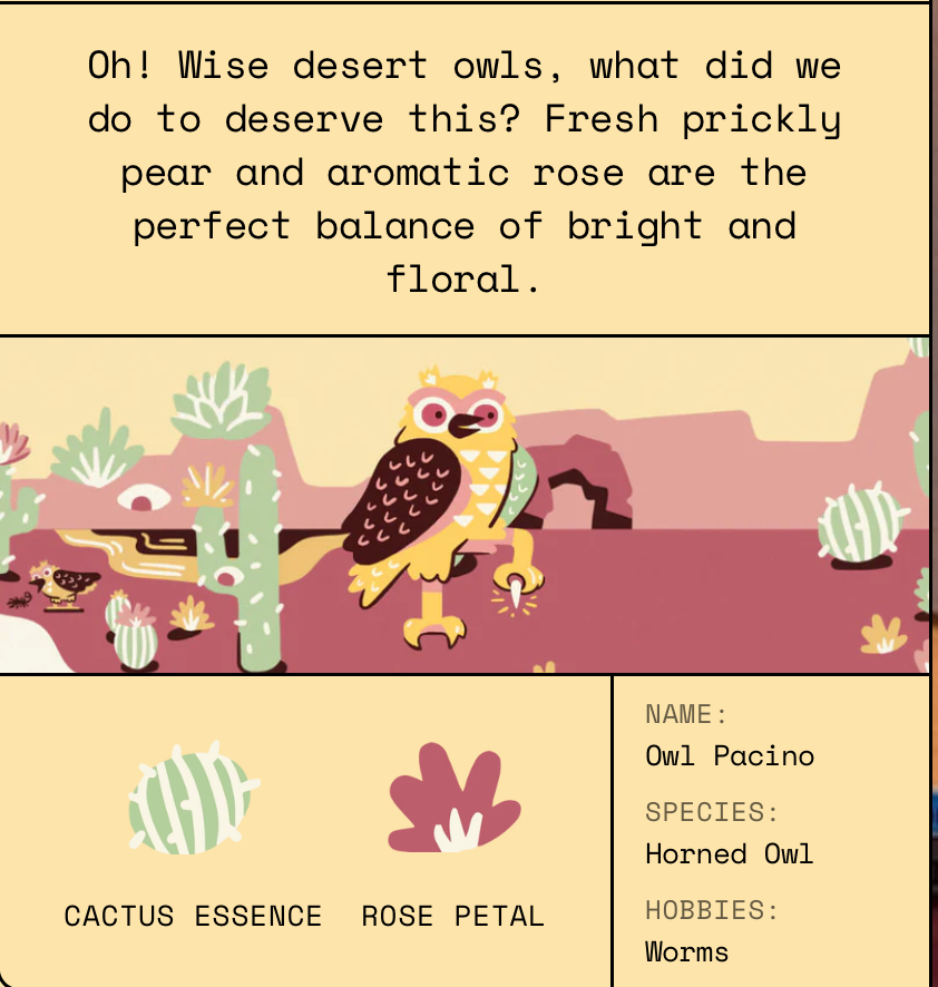 Cactus Rose Sparkling Water (6 Pack)