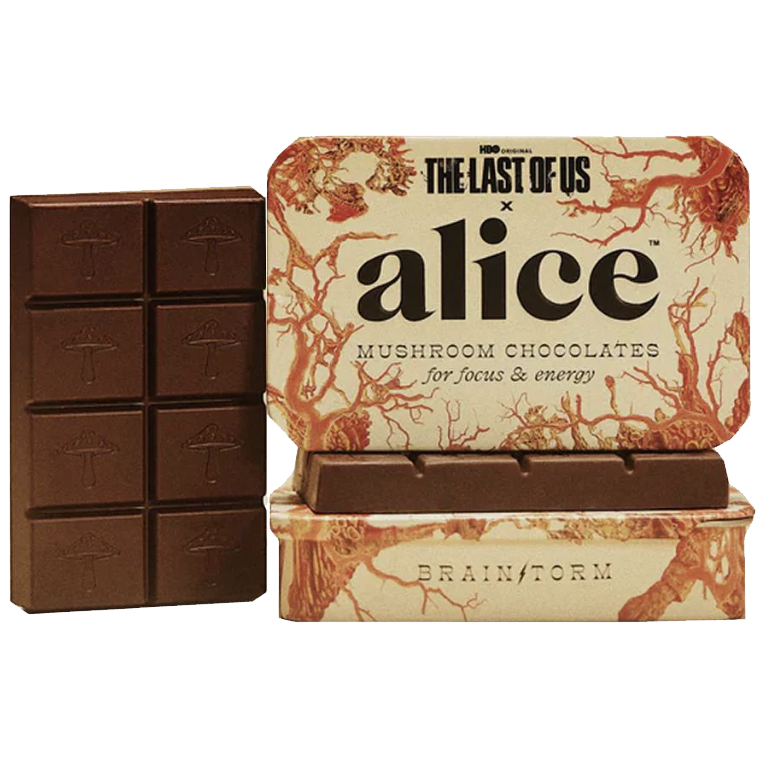 The Last of Us Brainstorm - Mushroom Chocolates