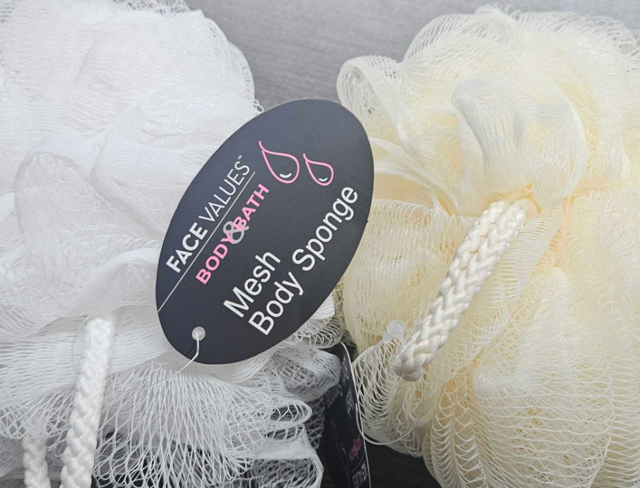Mesh Sponge - 1 CT