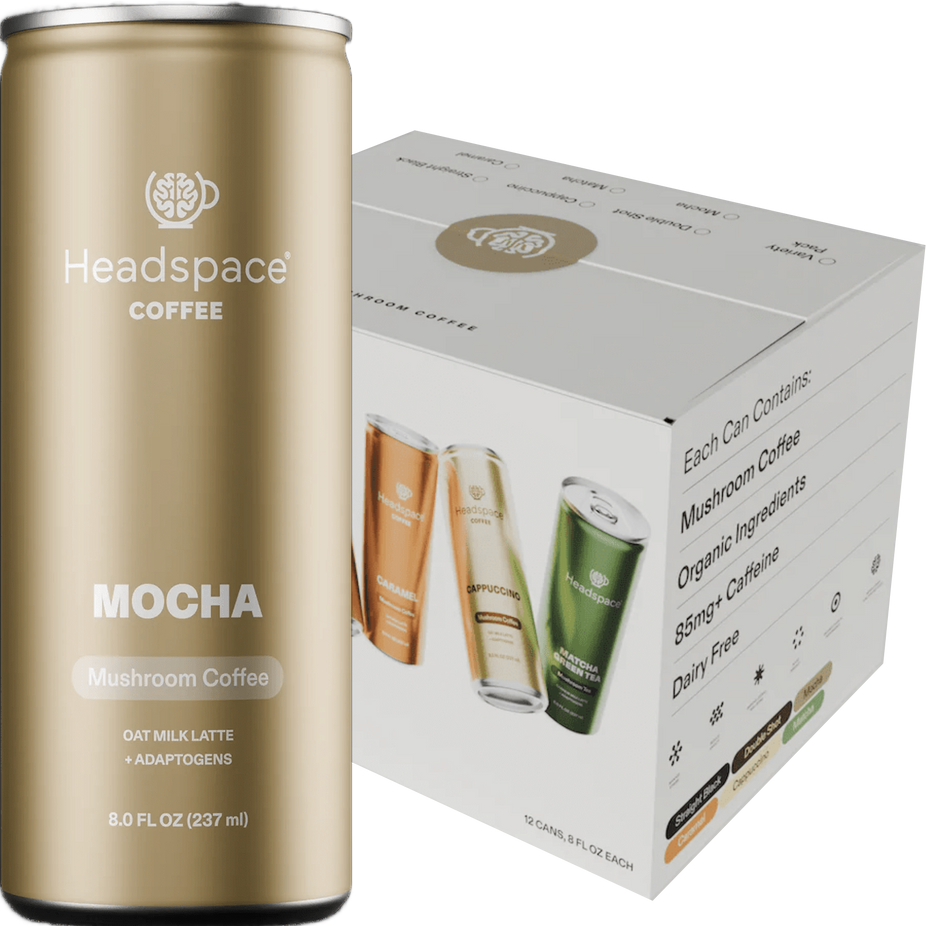 Mocha Coffee (12 Pack)