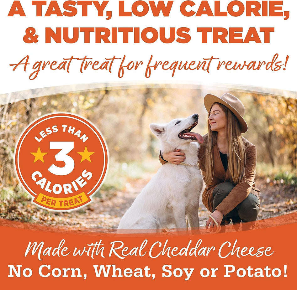 Cheddar Superstar Training Dog Treats