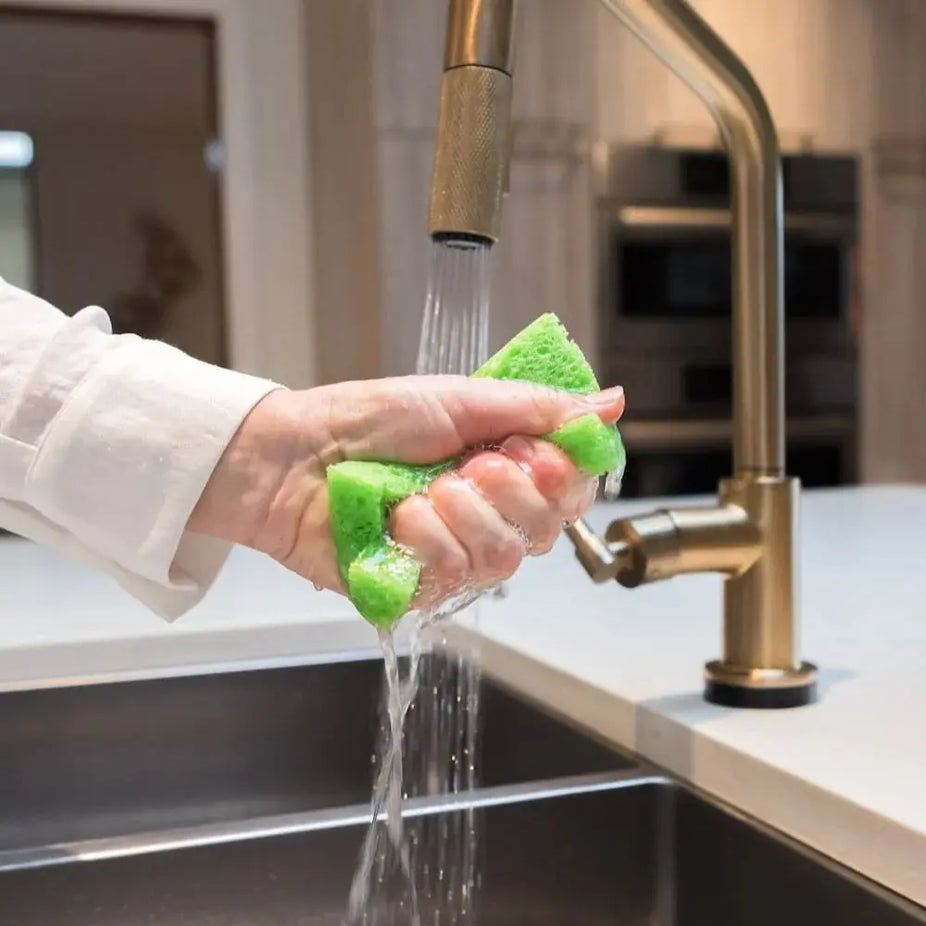 Compostable Pop-Up Sponges - 5 Pack of Multi Color