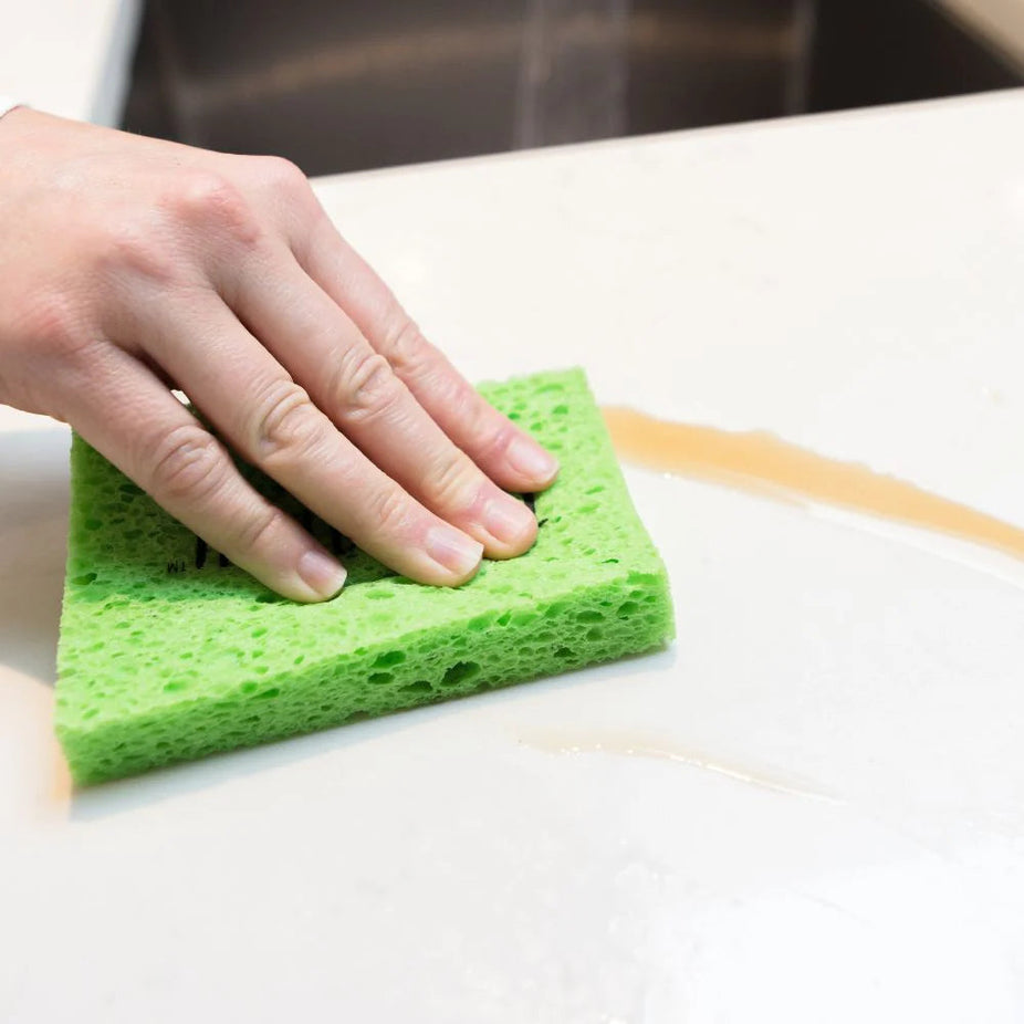 Compostable Pop-Up Sponges - 5 Pack of Multi Color