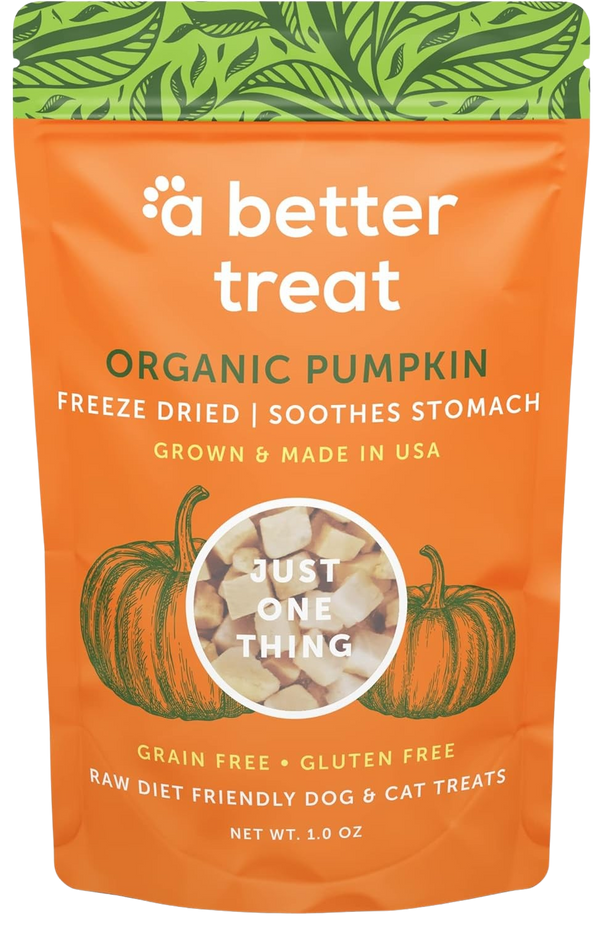 Pumpkin Dog and Cat Treats