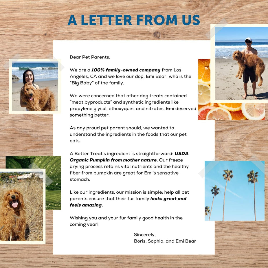 Pumpkin Dog and Cat Treats