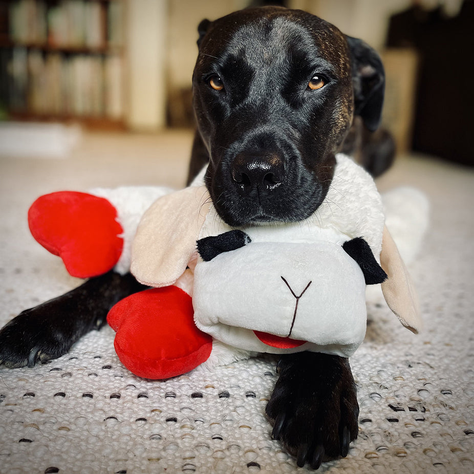 Lamb Chop Plush Dog Toy