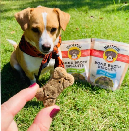 Chicken Brutus Dog Biscuit