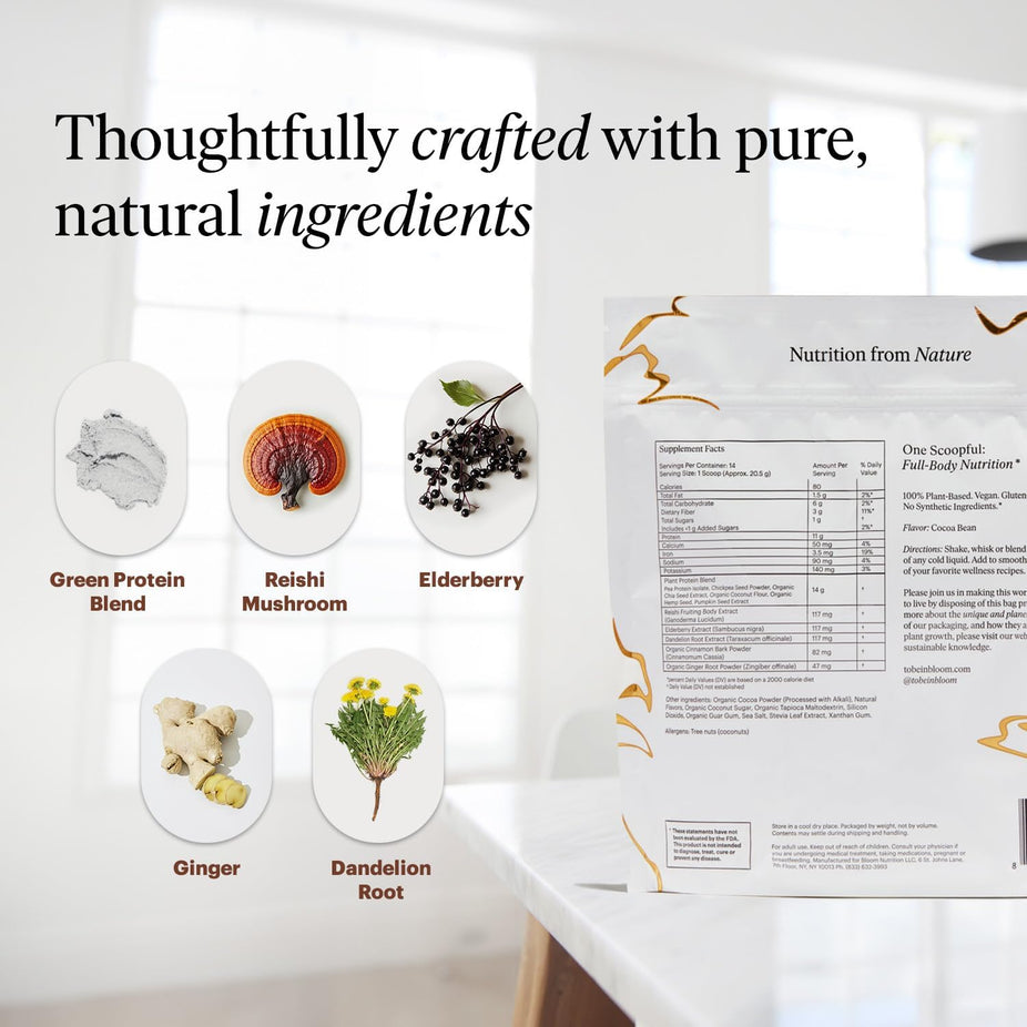 Vegan Plant-Based Chocolate Protein