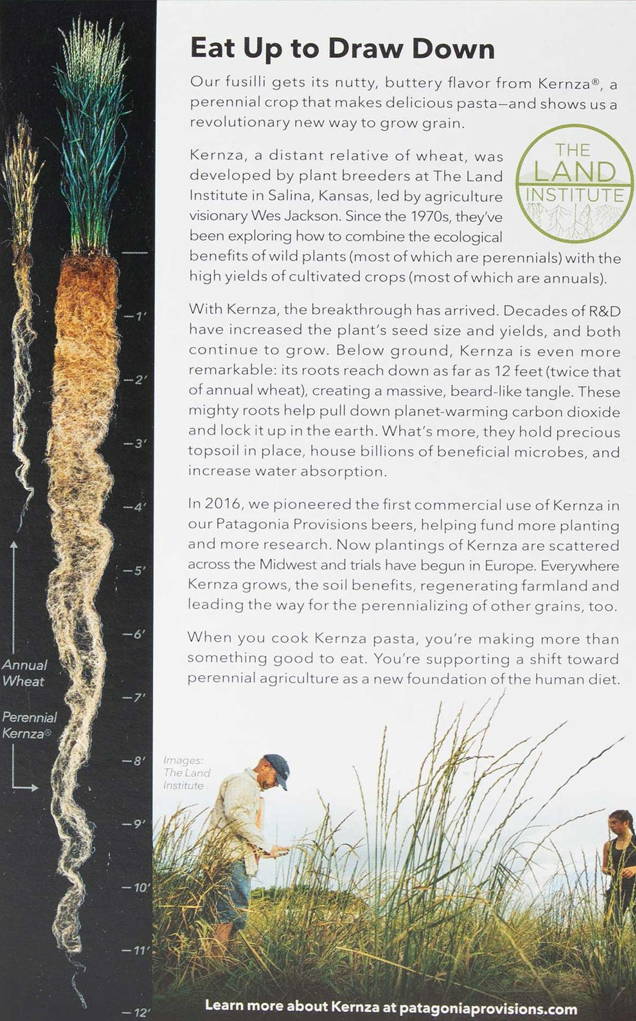 Organic Fusilli