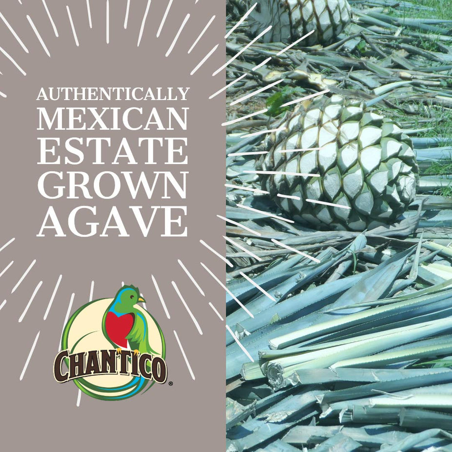 Organic Wild Agave Syrup Sweetener
