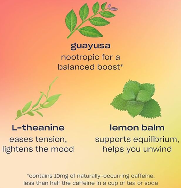 Zero Proof Ginger Lime Mule (4 Pack)