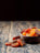 Organic Dried Fruit Mix