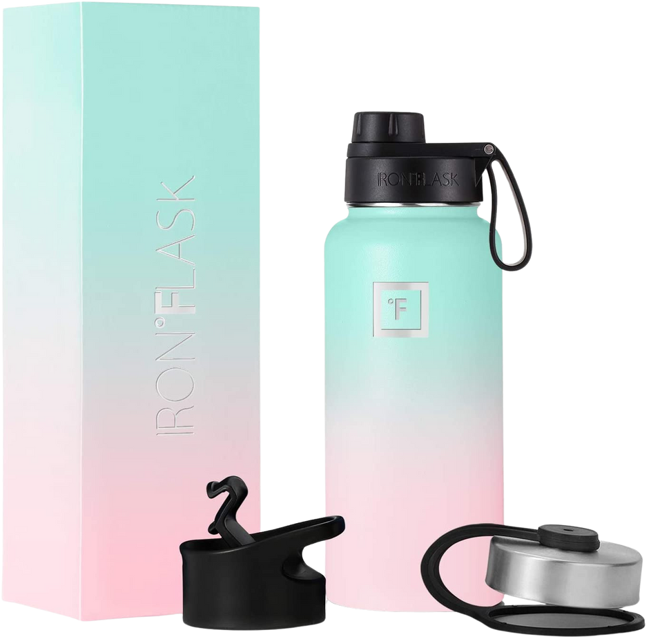 Wide Mouth Bottle  with Spout Lid - Bubble Gum, 14oz