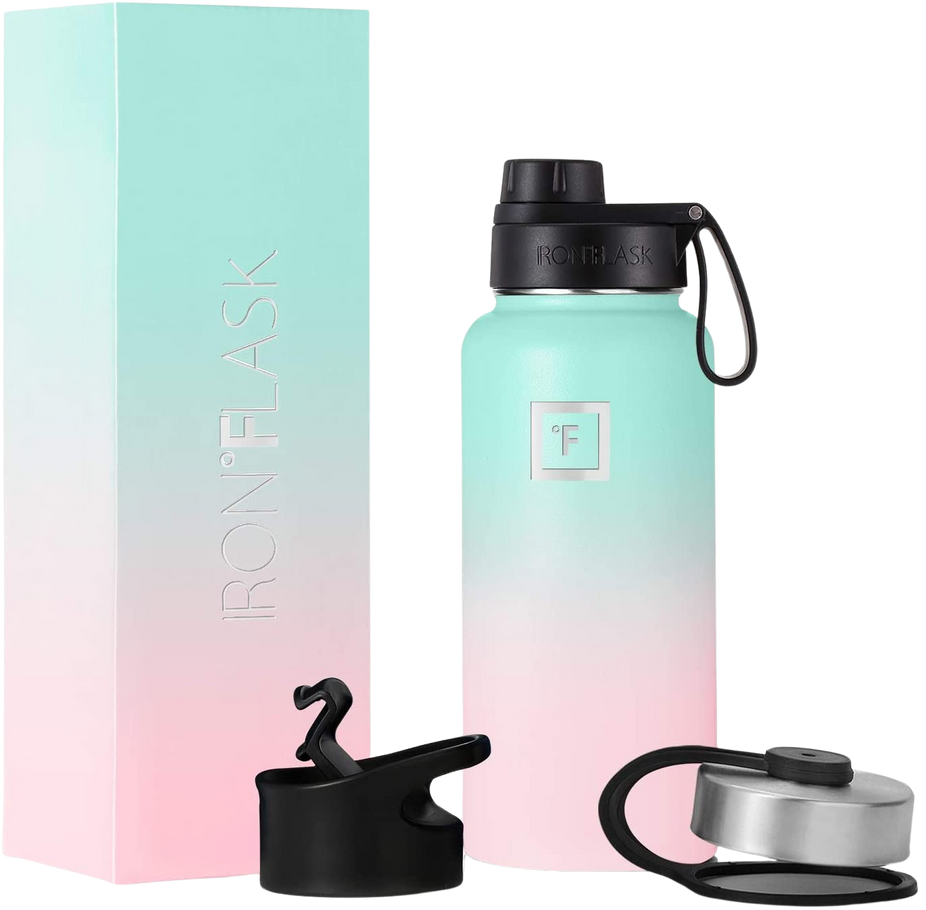 Wide Mouth Bottle  with Spout Lid - Bubble Gum, 14oz